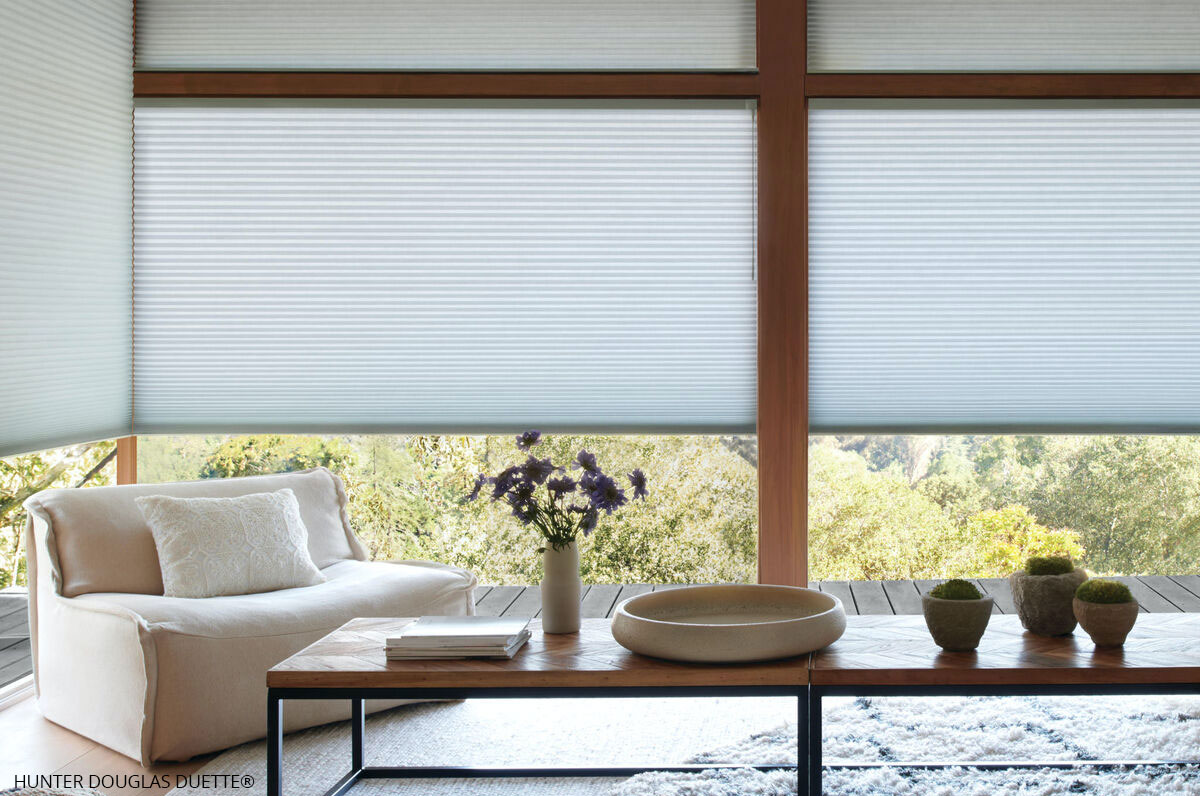 Honeycomb cell shades in living room